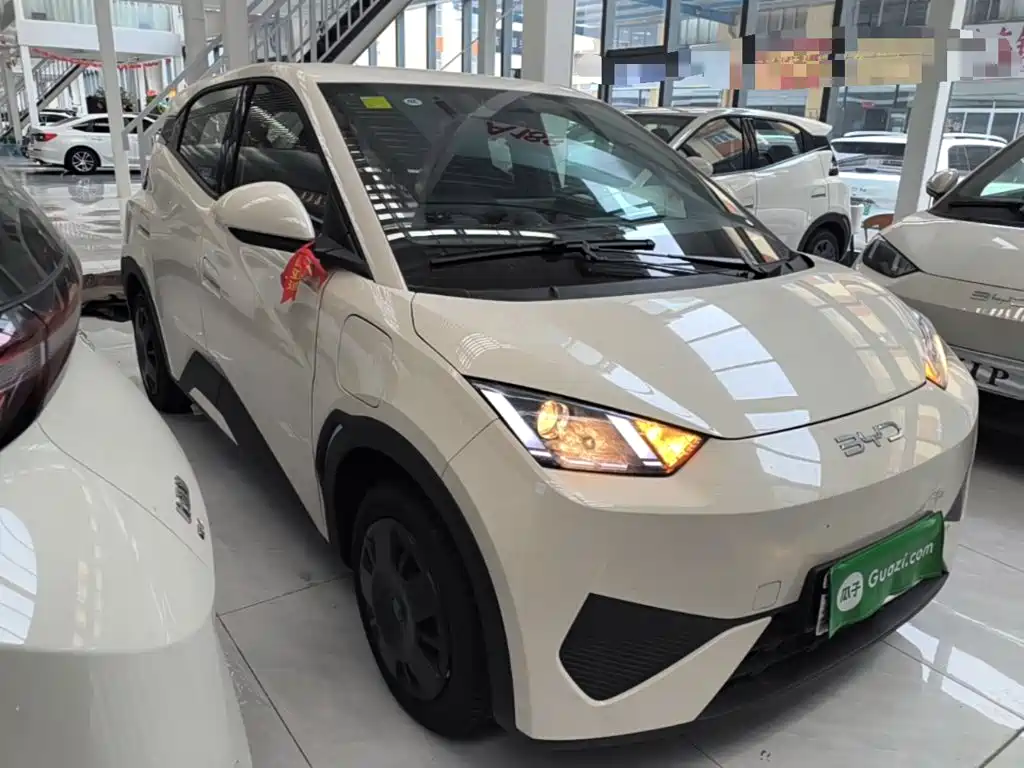 BYD Seagull 2026 2025 Smart Drive Edition 305km Vitality Version