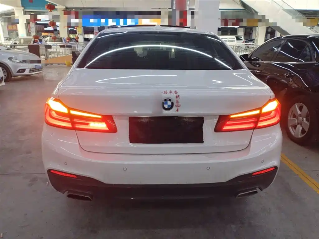 BMW 5 Series 2019 530Li Leading M Sport Package фото 6