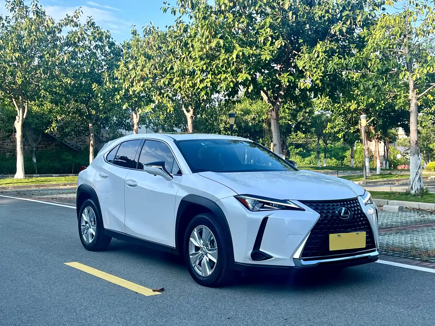 Lexus UX 2020 200 Special Edition фото 3