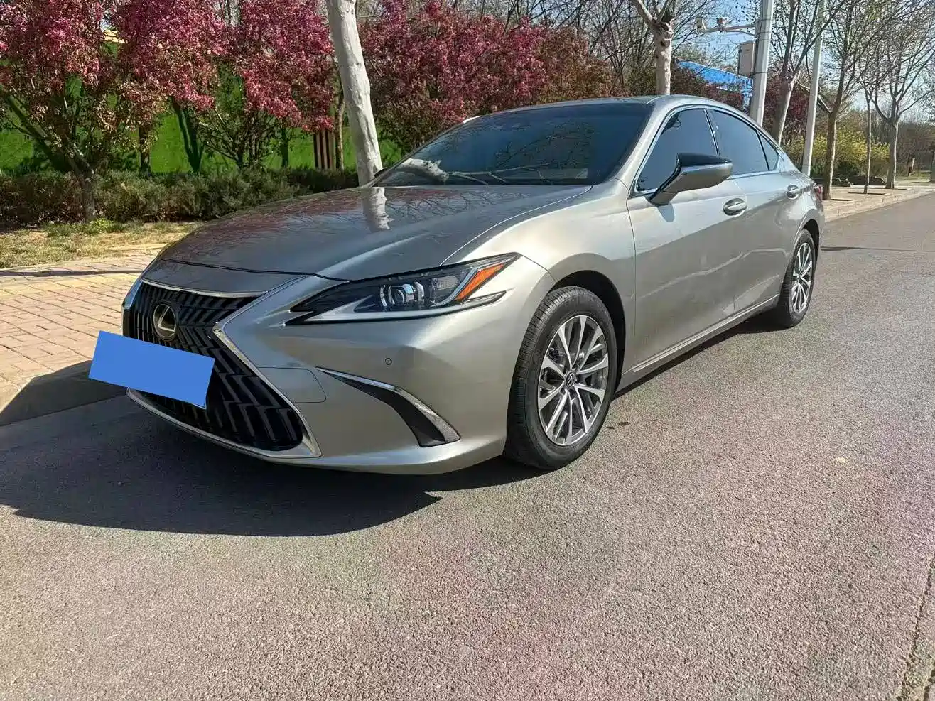Lexus ES 2024 200 Premium Edition