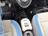 Photo 14 - Ora Black Cat