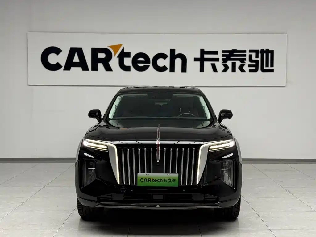 Photo 3 - Hongqi E-HS9