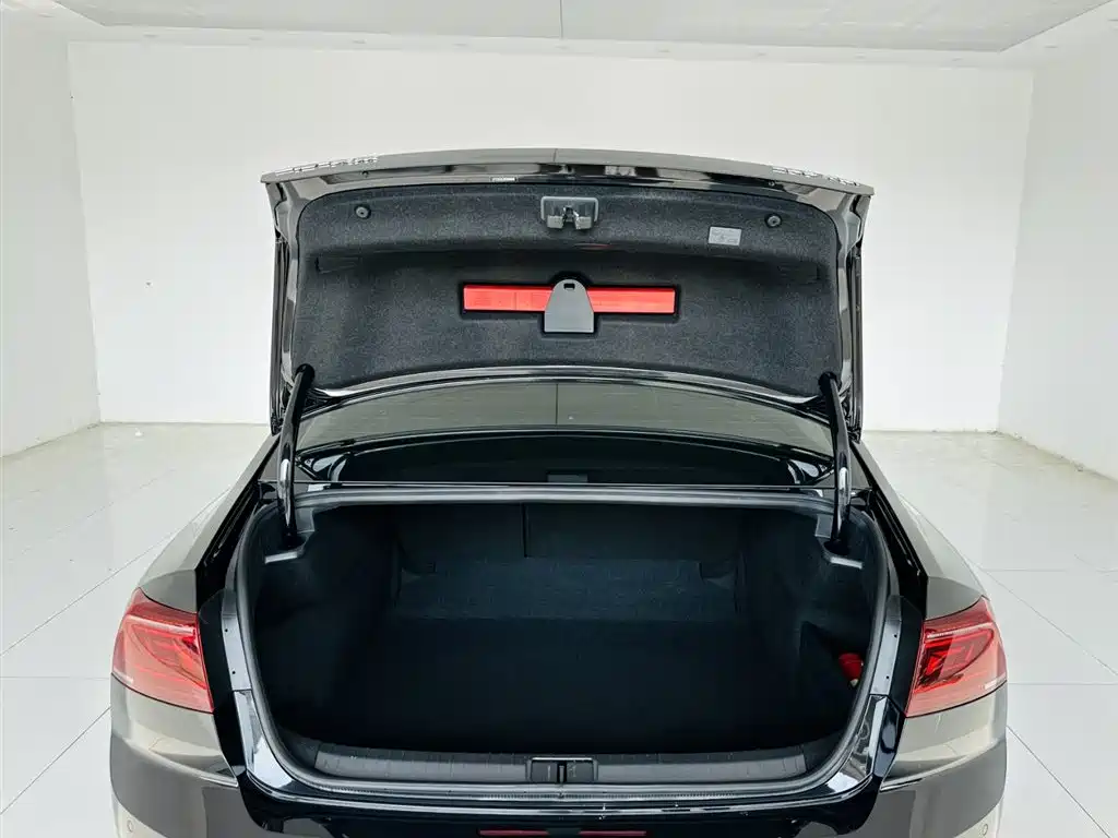 Volkswagen Magotan 2024 2 Million Units Public Sharing Edition 280TSI DSG Comfort фото 22