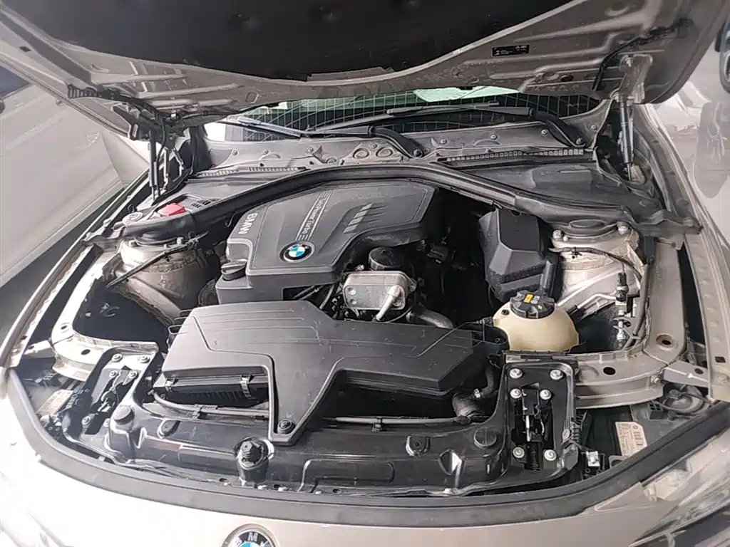 BMW 3 Series 2016 320Li Luxury Design Package фото 20