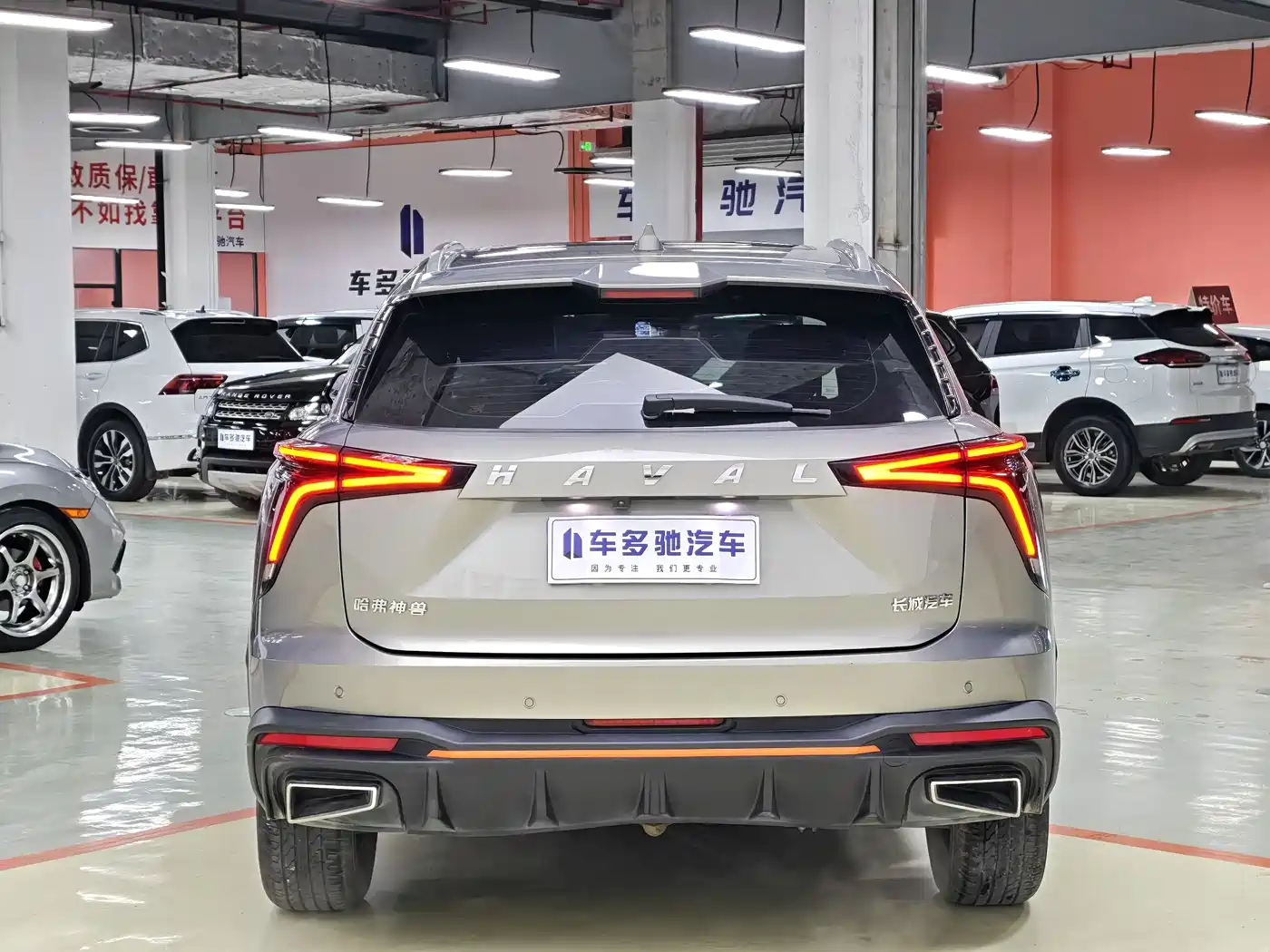HAVAL DIVINE BEAST