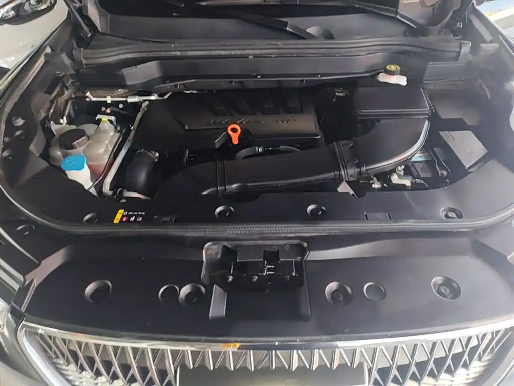 Haval H6 2021 1.5GDIT Automatic Champion Edition фото 20
