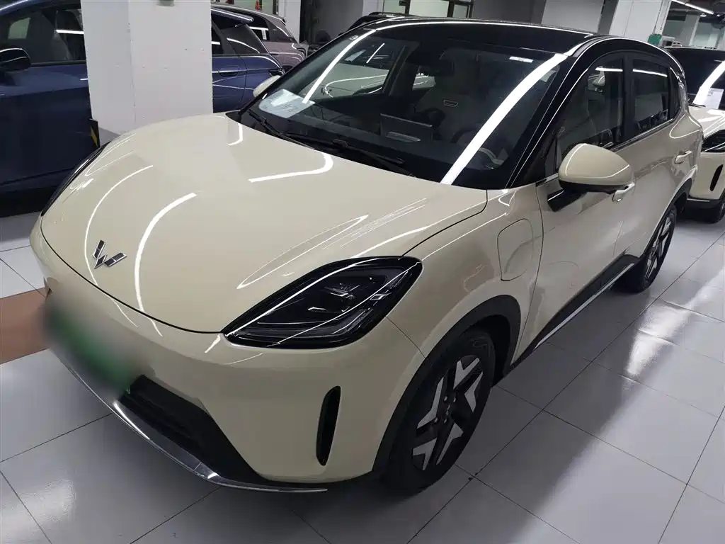 Wuling Motors Wuling Bingo S 2025 Model 325km Flagship Edition