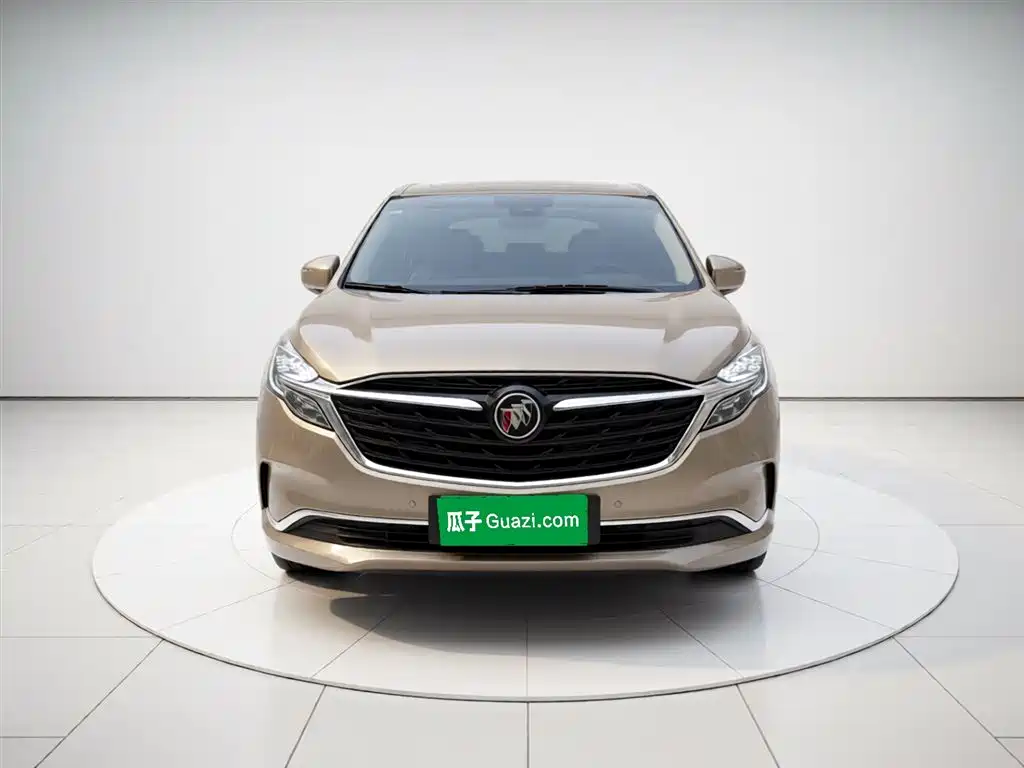 Buick GL8 2022 ES Landmark 653T Premium фото 3