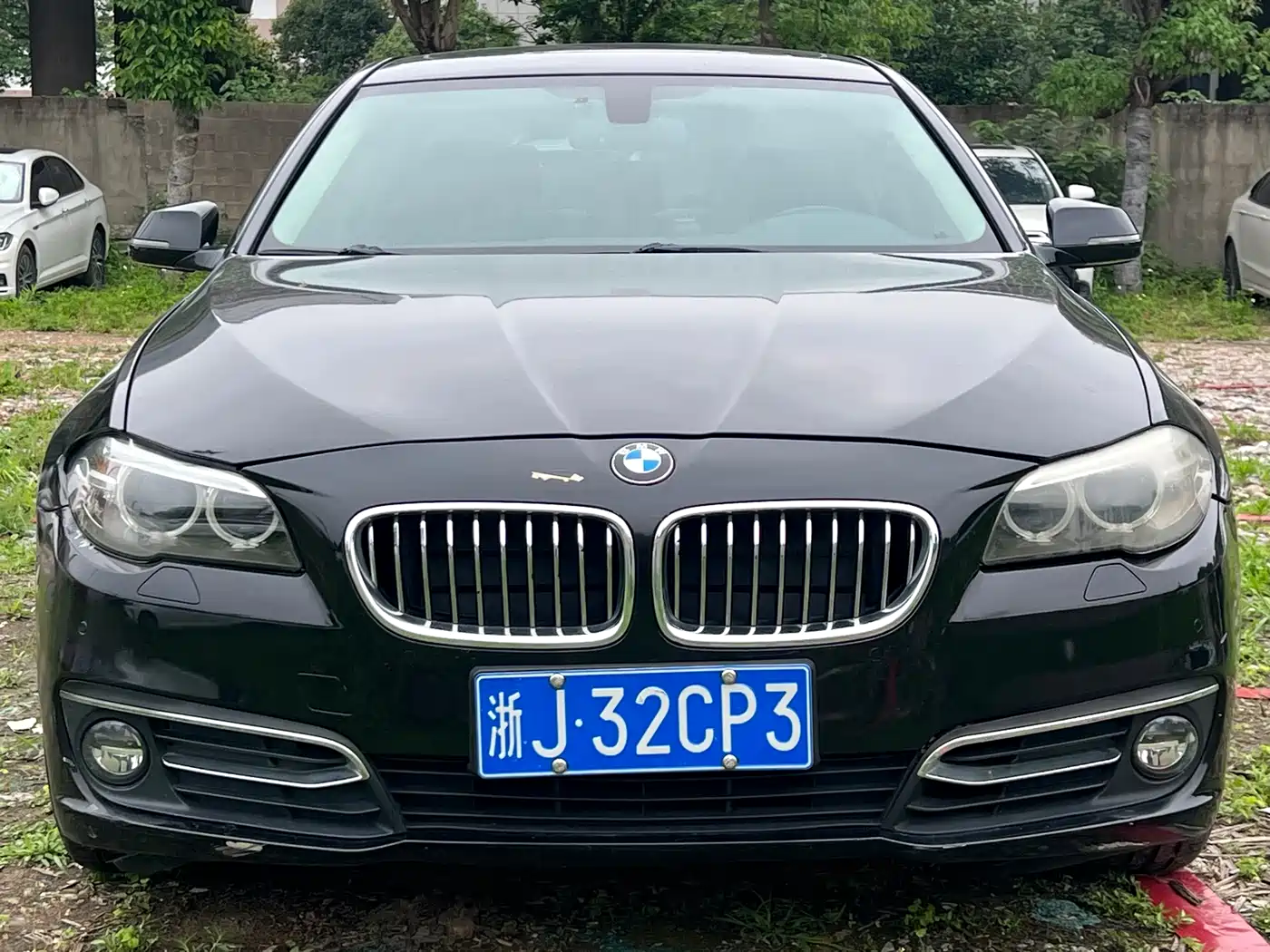 BMW 5 Series 2017 525Li Luxury Design Package фото 2
