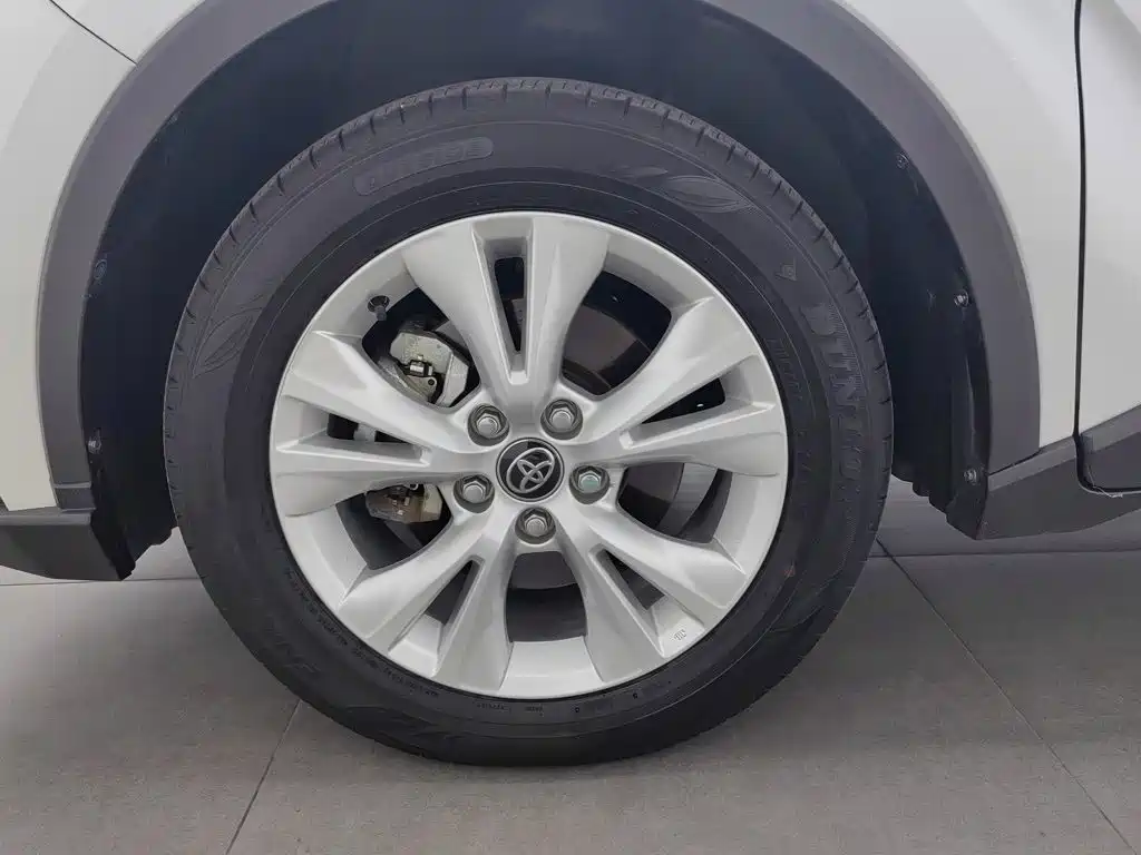 Toyota IZOA 2024 2023 2.0L Yi-Xiang Edition