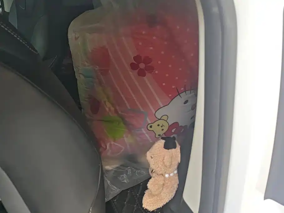 Roewe Kaiwei CLEVER 2023 2022 311km Vitality Bobo Edition