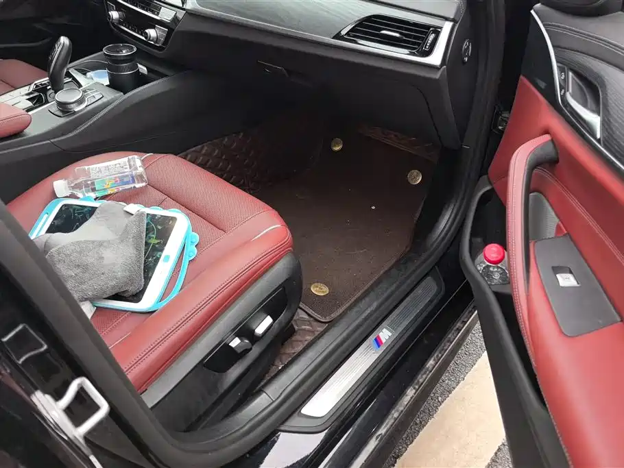 BMW 5 Series 2021 530Li Leading M Sport Package фото 8