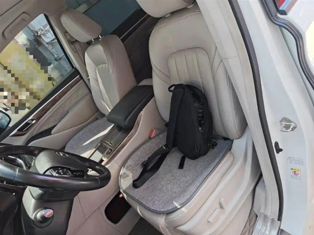 GAC Trumpchi Trumpchi M8 2020 Pilot 390T Prestige Edition фото 15