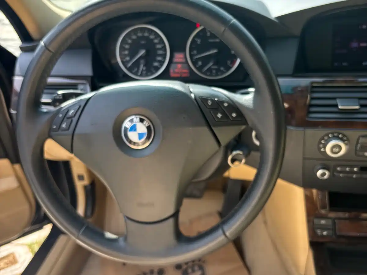 BMW 5 Series 2009 Model 523Li Premium фото 11