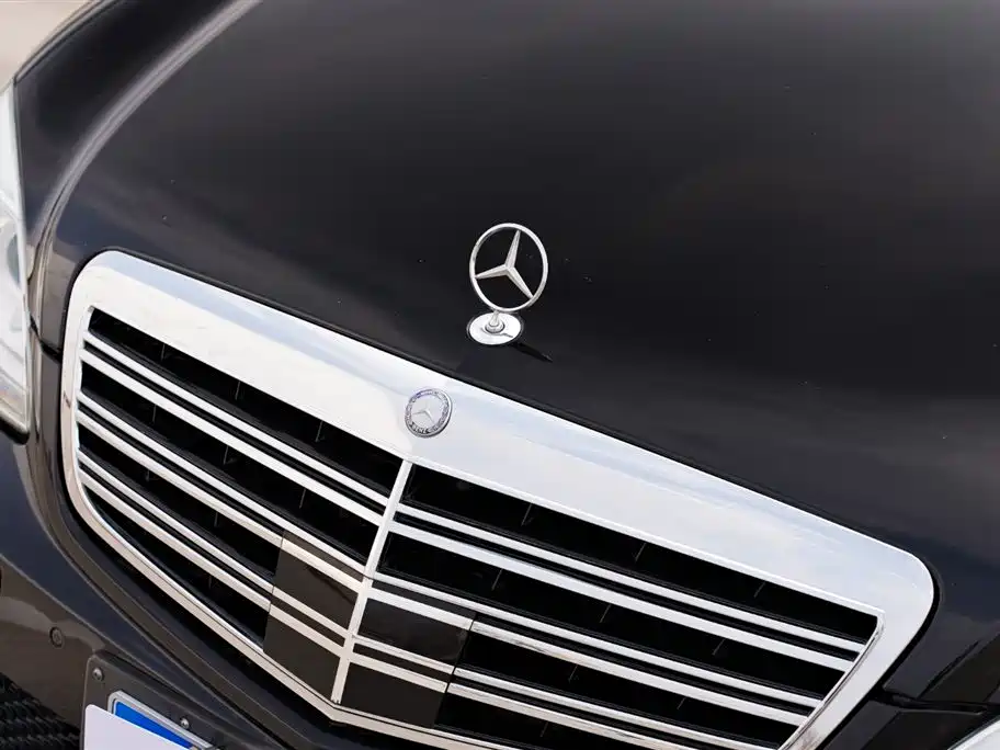 Mercedes-Benz S-Class 2010 S 600 L фото 24
