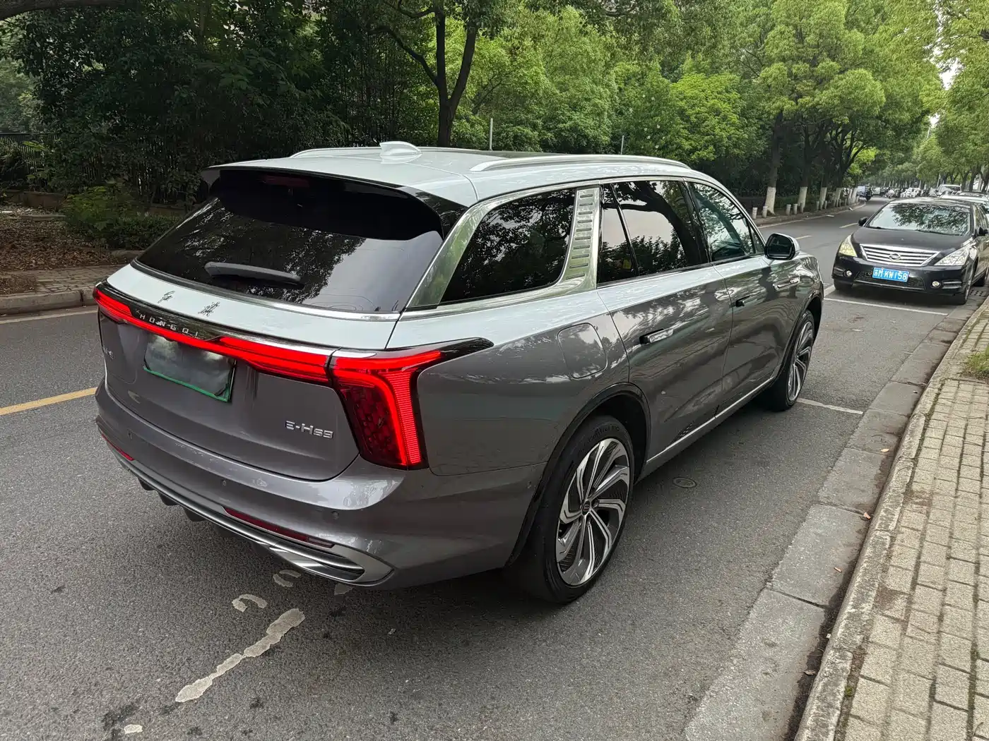 Hongqi E-HS9 2021 510km Flagship Edition 4-seater фото 3