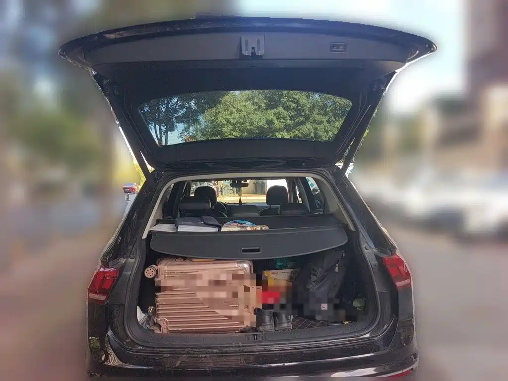Фото 20 - Volkswagen Tiguan L