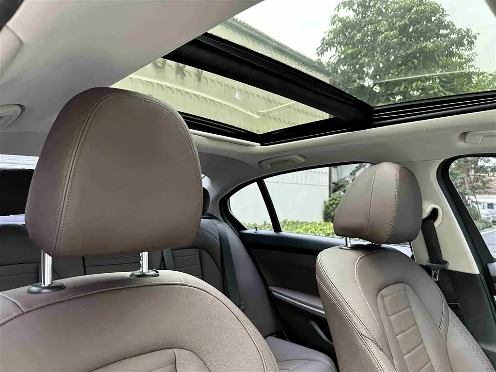 BMW 3 Series 2020 325Li M Sport Black Night Package фото 22