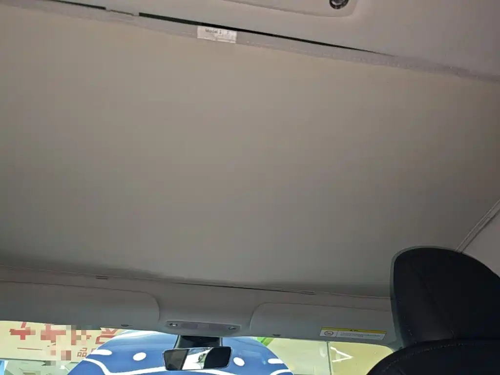 Tesla Model 3 (Import) 2019 2019 Long Range RWD Version