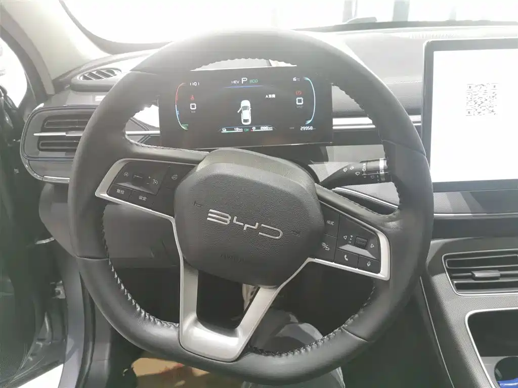 BYD Destroyer 05 2023 Champion Edition DM-i 55KM Luxury фото 11