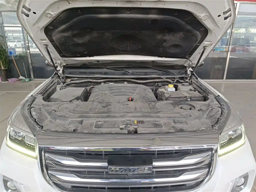 Haval H9 2020 2.0T Gasoline 4WD Elite 5-Seater фото 20