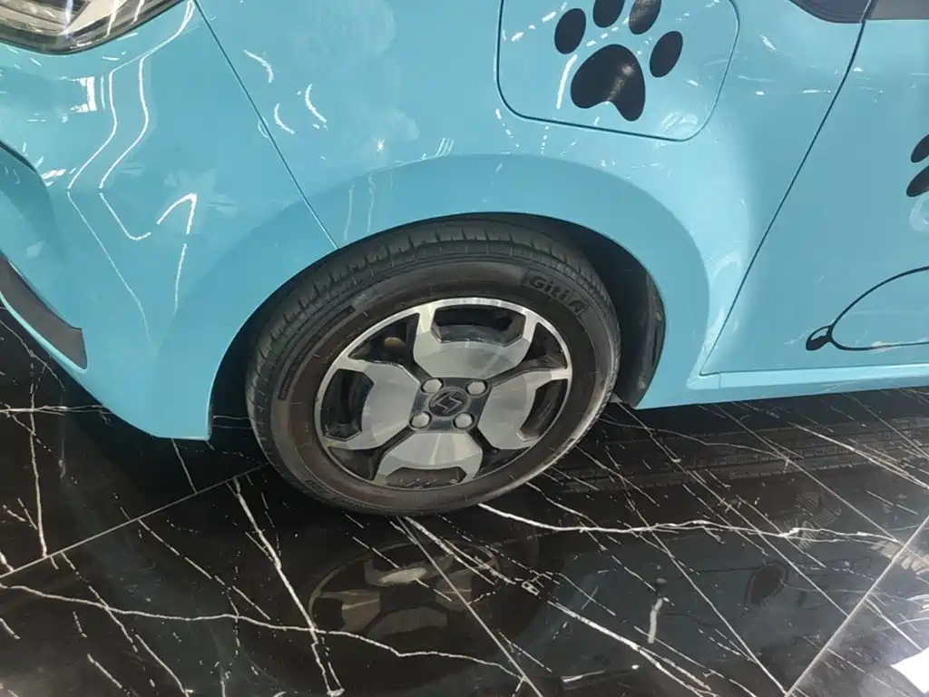 Sehol Flower Fairy 2022 2021 Jimei Edition 302km Luxury