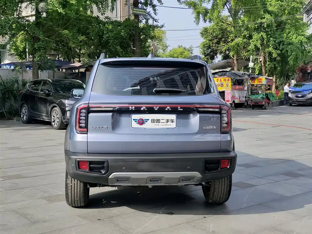 HAVAL BIG DOG