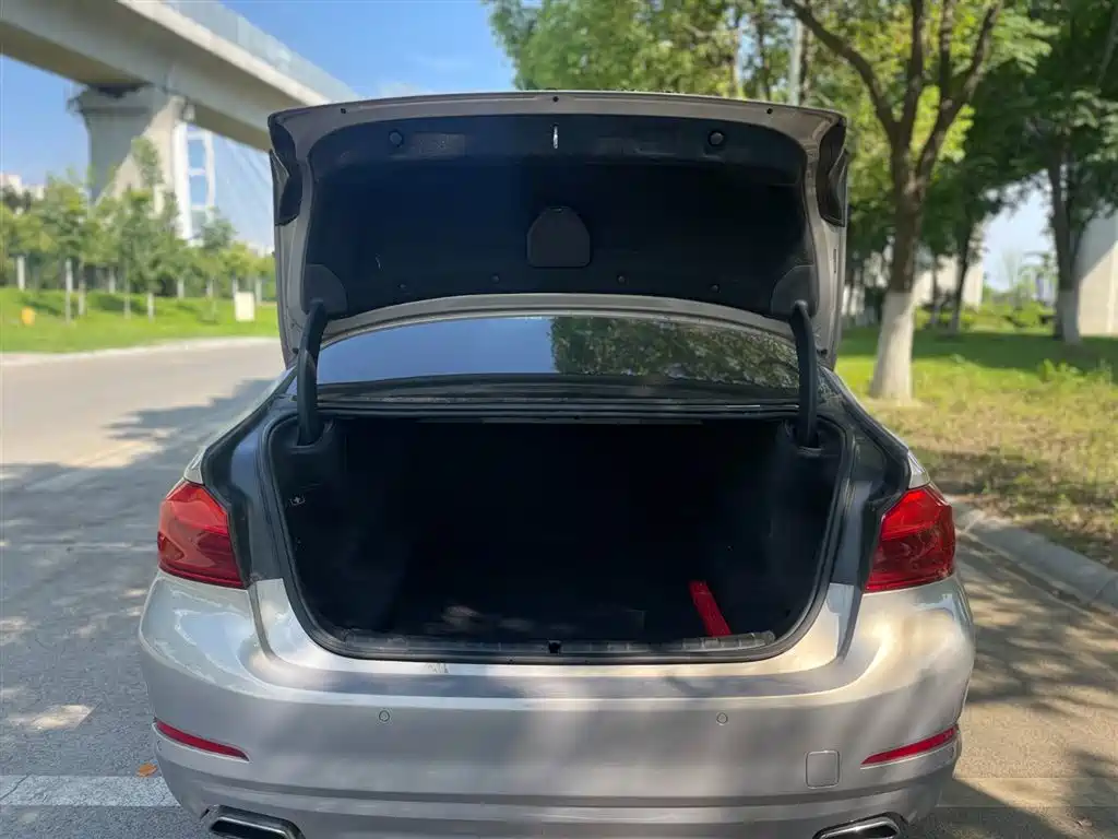 BMW 5 Series 2018 528Li Launch Special Edition фото 11