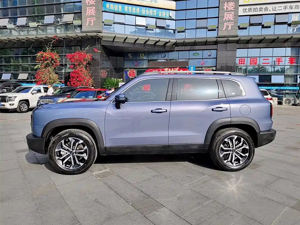 HAVAL BIG DOG