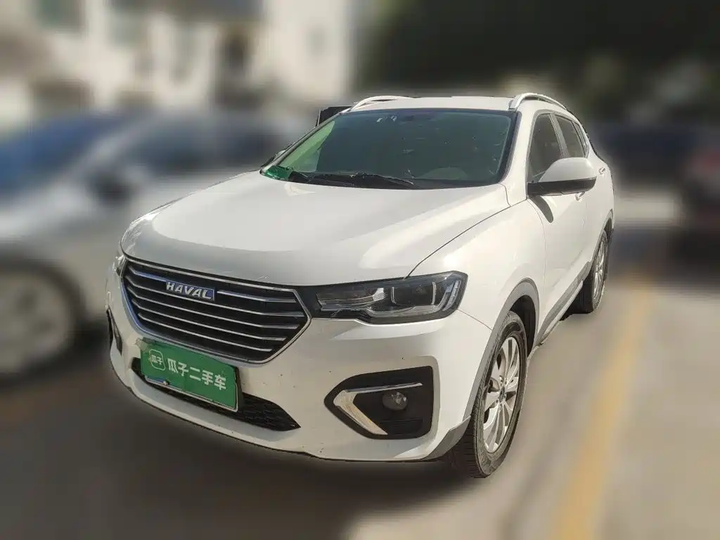 صورة 1 - Haval H2s