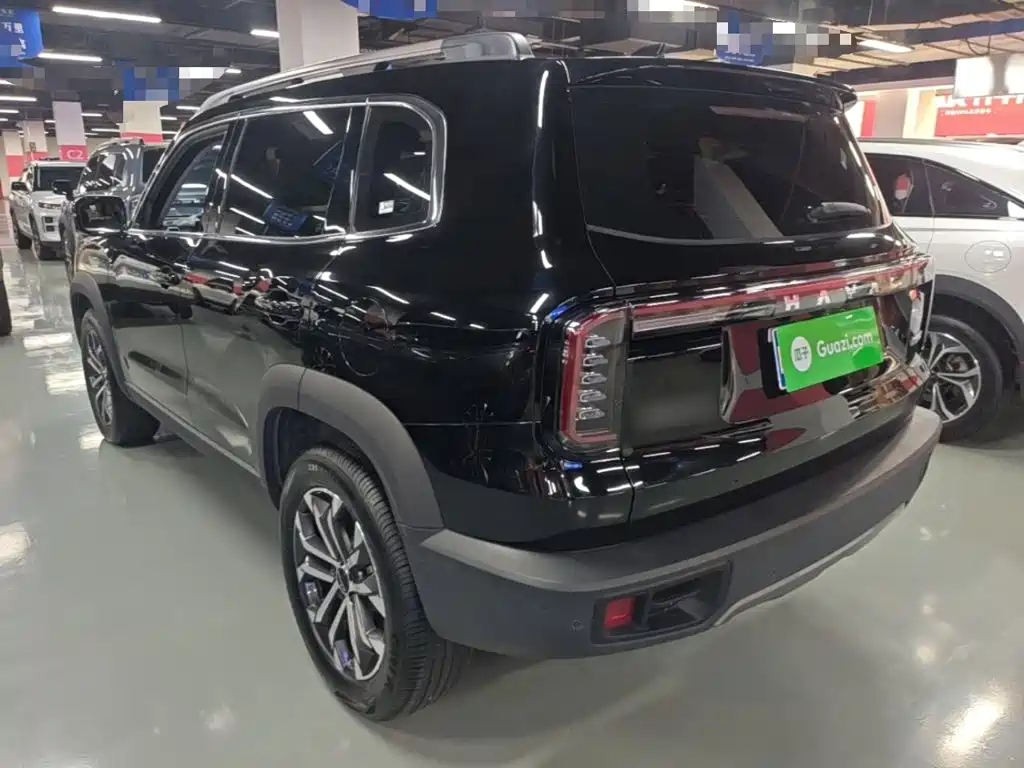 Haval Big Dog 2025 2024 1.5T DCT Border Collie Edition