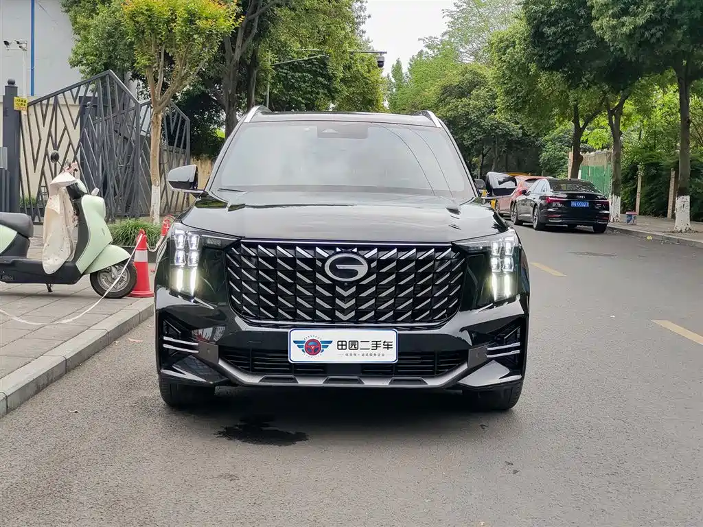 GAC Trumpchi Trumpchi GS8 2024 Navigator Series 2.0TGDI 4WD Luxury Smart Connect Edition фото 2