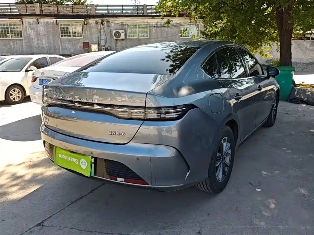 BYD Destroyer 05 2024 Glory Edition DM-i 55KM Luxury фото 7