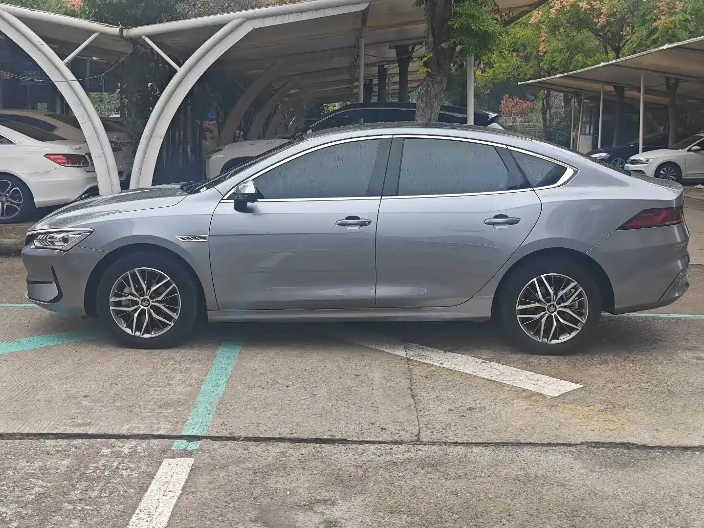 Фото 3 - BYD Qin PLUS