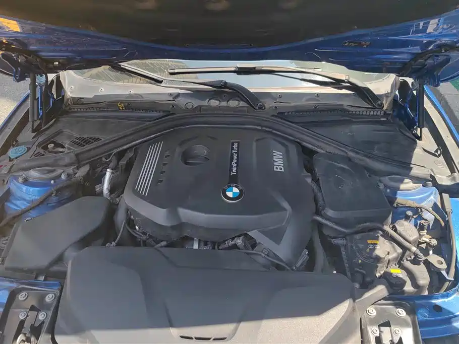 BMW 3 Series 2018 320Li Leading M Sport Package фото 10