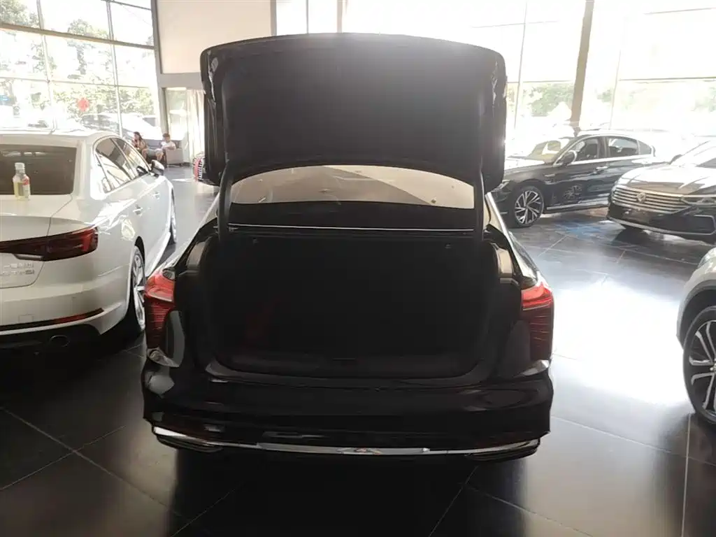 Hongqi H5 2024 2.0T Automatic Smart Connect Flag Smooth Edition фото 19