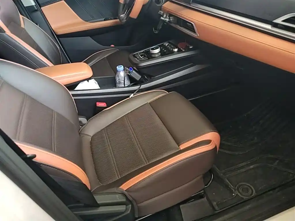 BYD e2 2021 Luxury Edition фото 25