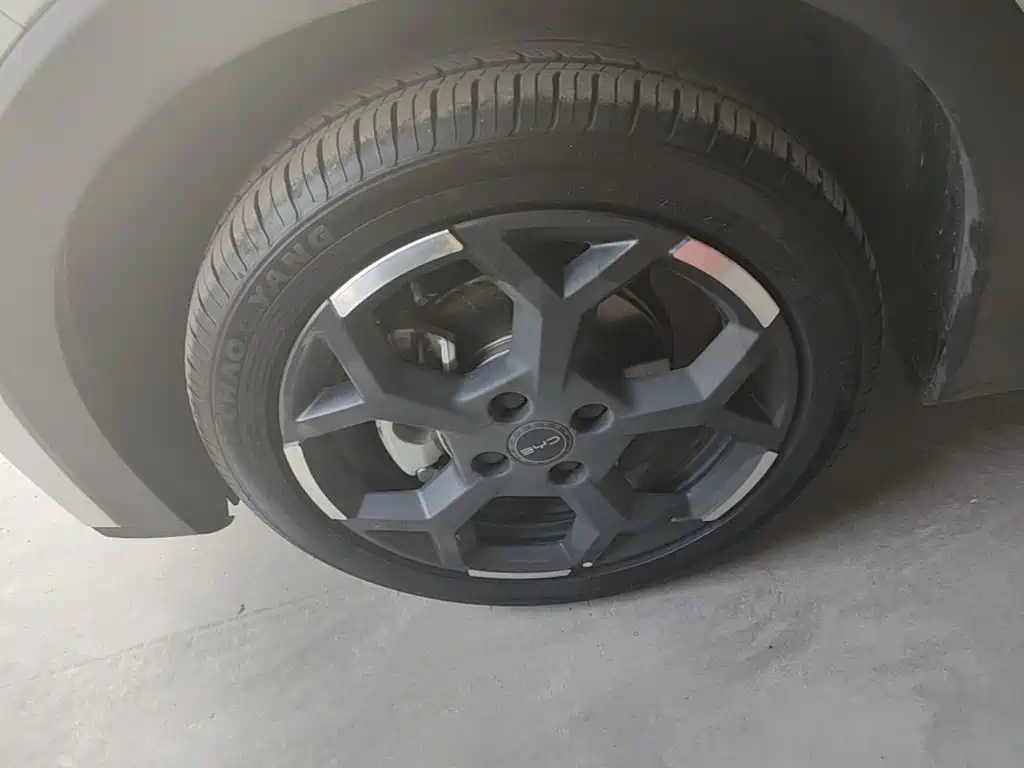 BYD Seagull 2026 2025 Smart Drive Edition 305km Freedom Version