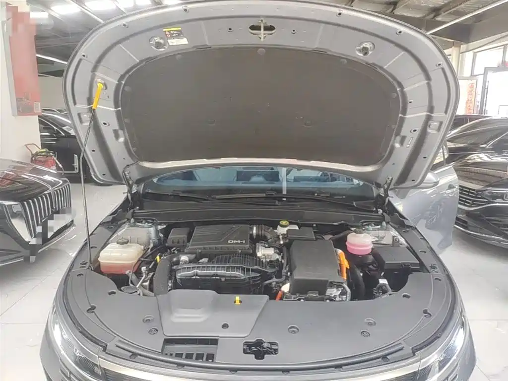 BYD Destroyer 05 2023 Model Champion Edition DM-i 120KM Luxury фото 20