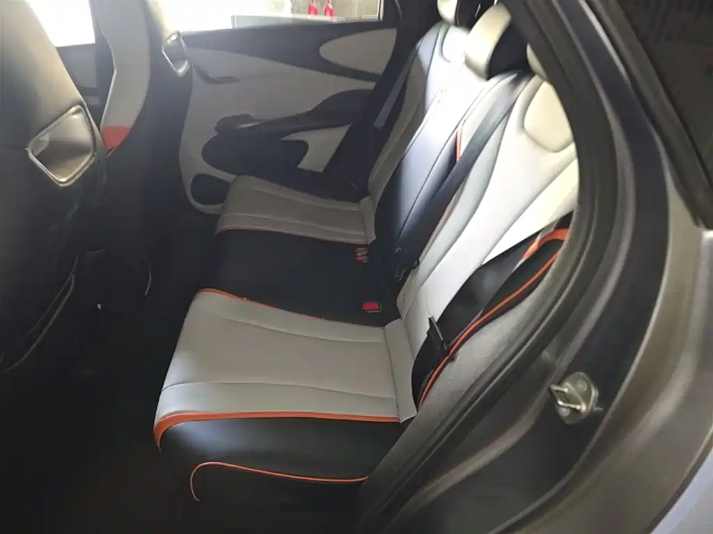 BYD Dolphin 2021 Model 405km Fashion Edition фото 22