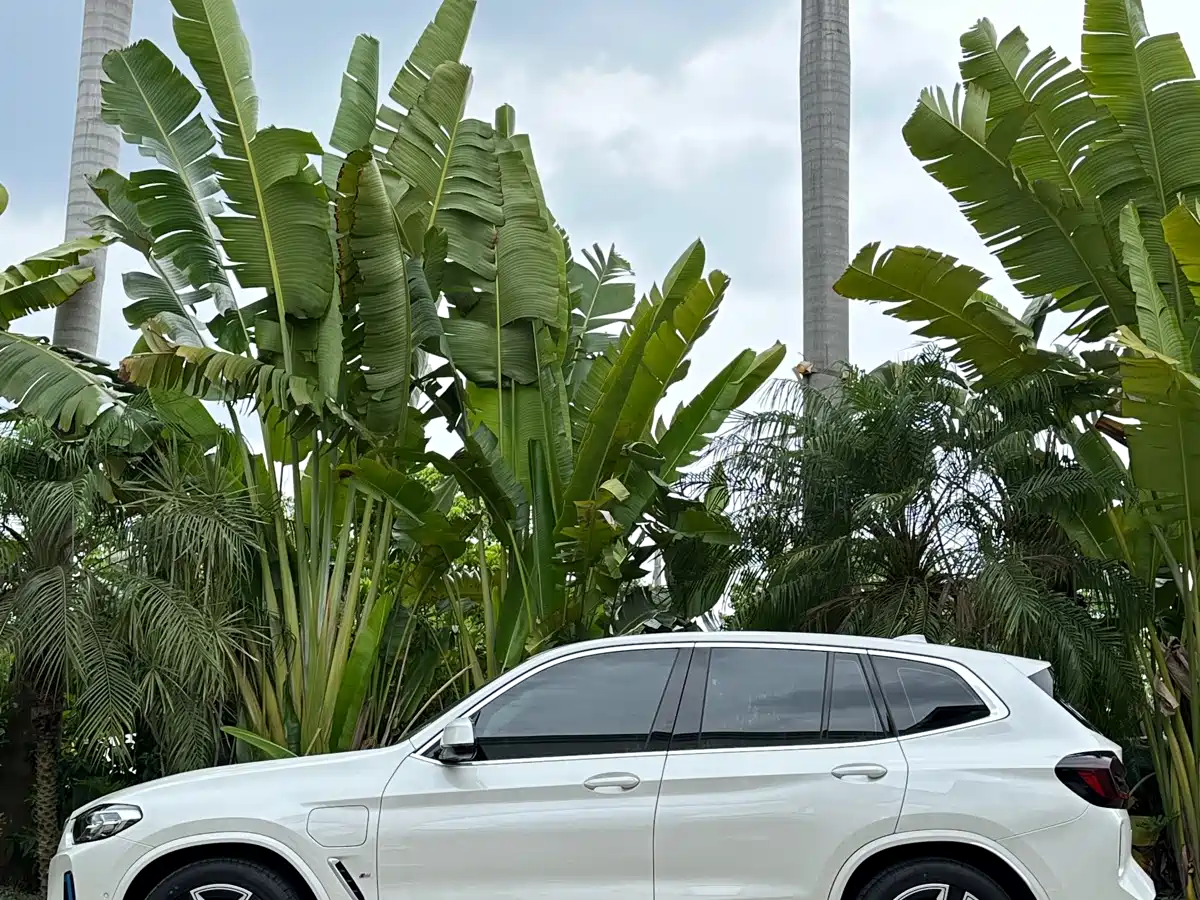 BMW iX3 2022 Leading Edition фото 7