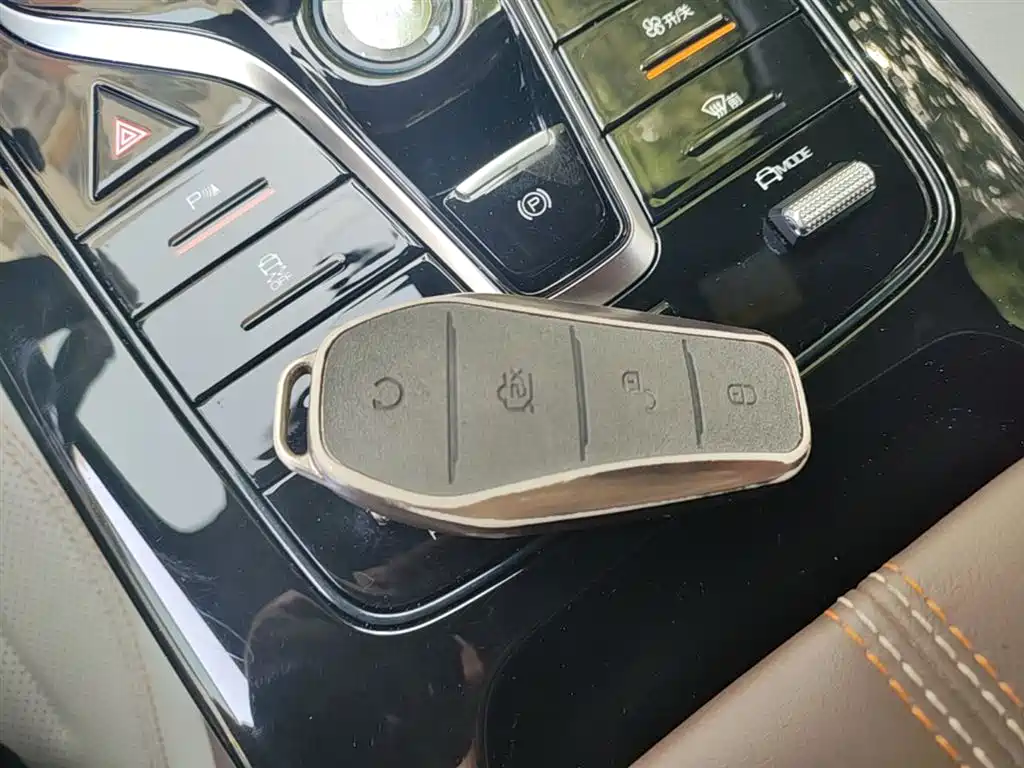 BYD Qin PLUS 2024 Glory Edition DM-i 55KM Leading фото 9