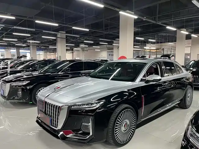  Hongqi Hongqi H5 2023 2.0T Auto Smart Connect Flag Comfort