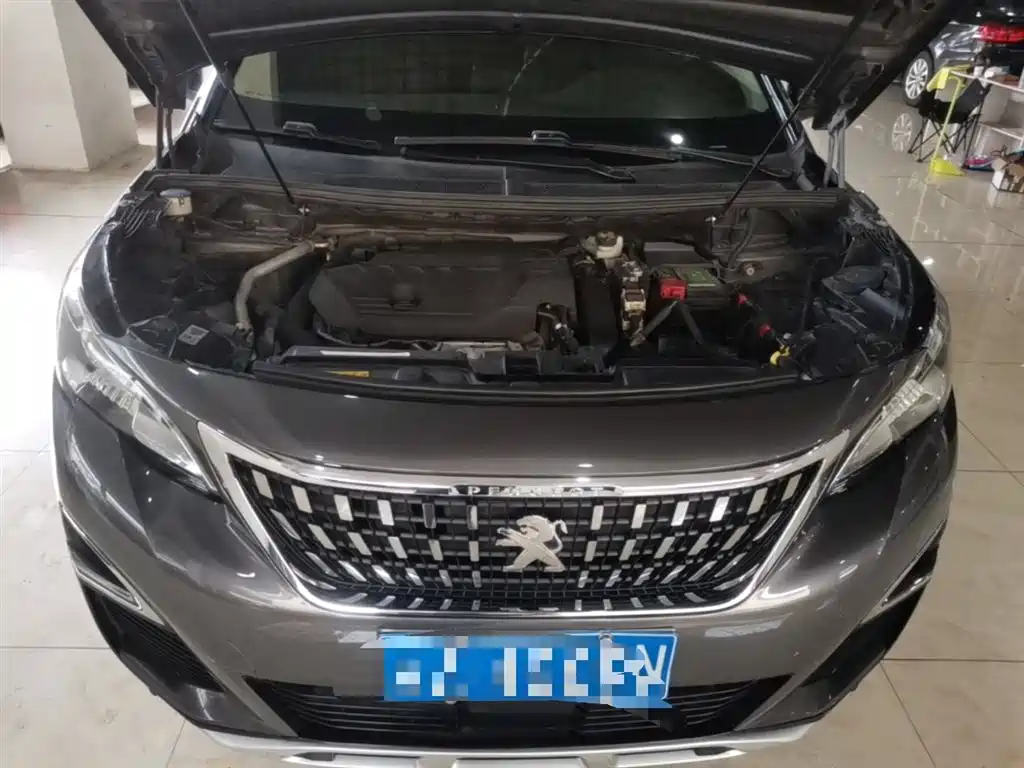 Peugeot 4008 2018 350THP Elite фото 20