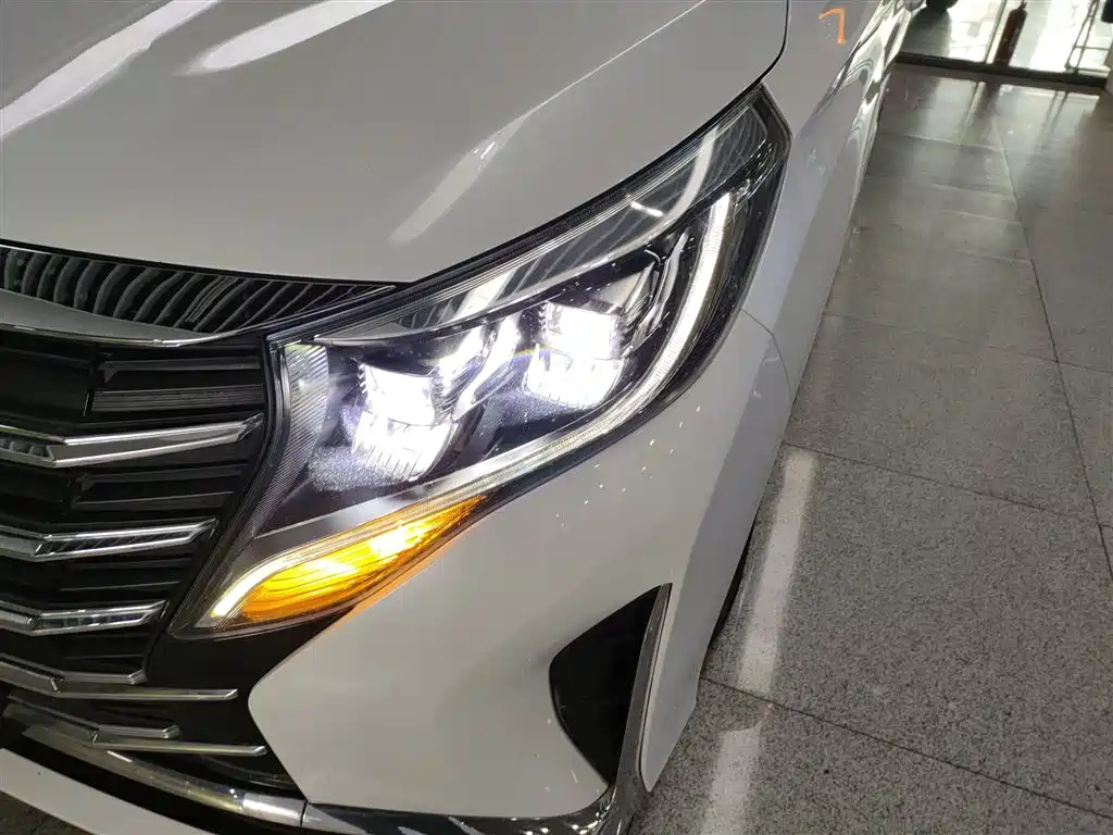 GAC Trumpchi Trumpchi M8 2021 Leading Show Series 390T Premium Edition фото 24
