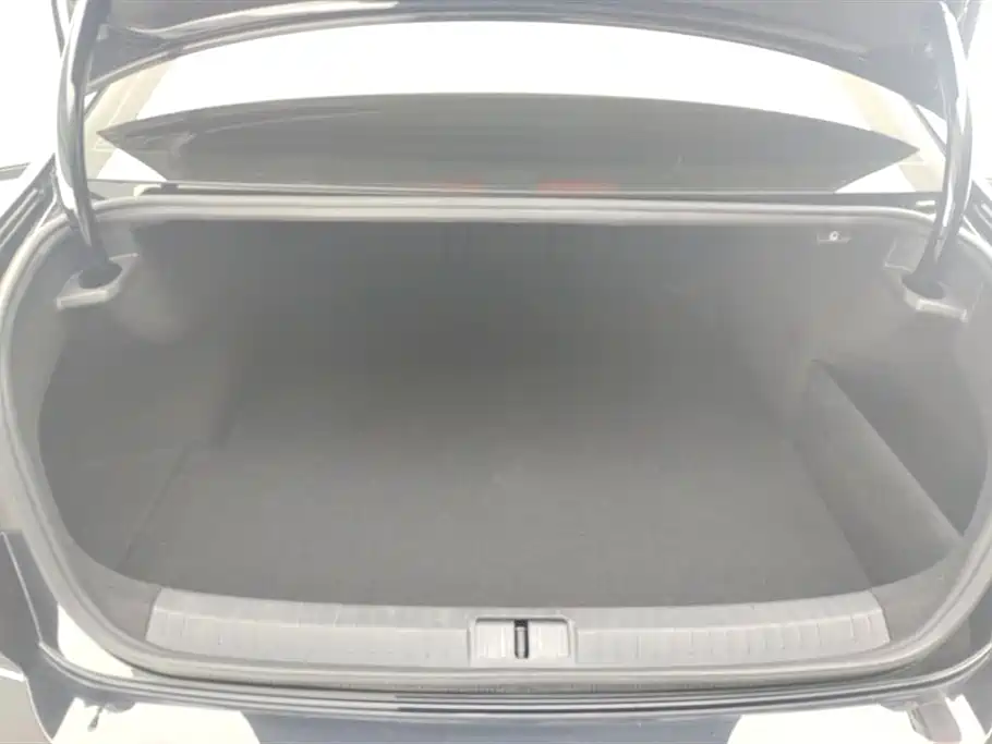 Volkswagen Magotan 2023 2 Million Units Anniversary Edition 330TSI DSG Leading Type фото 4