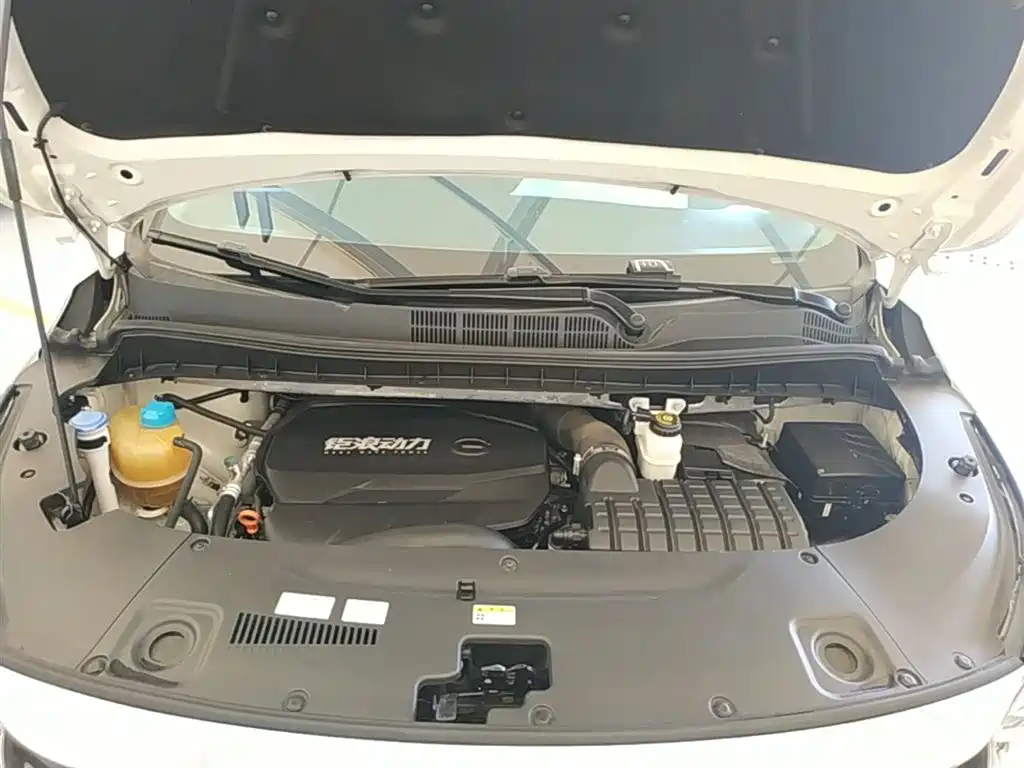GAC Trumpchi Trumpchi M8 2021 Leading Show Series 390T Luxury Edition фото 20