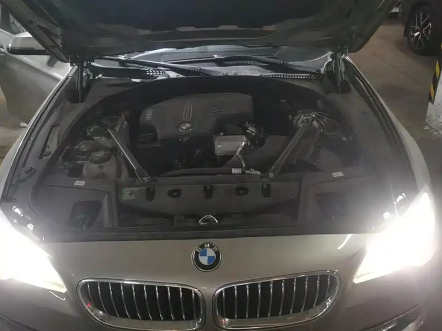 BMW 5 Series 2017 525Li Luxury Design Package фото 10