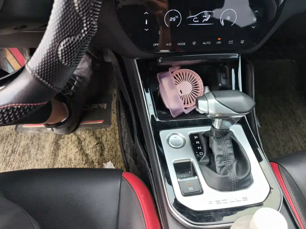 Фото 10 - Dongfeng Aeolus Yixuan GS