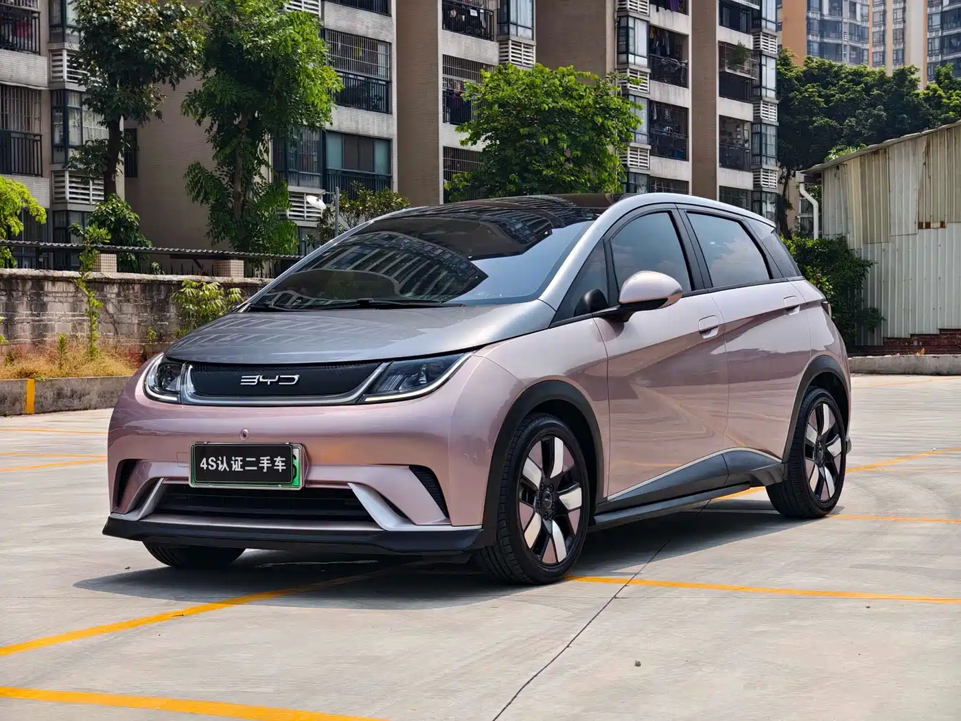 BYD Dolphin 2021 401km Knight Edition